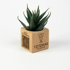 Κύβος QR code μενού αλόη 2