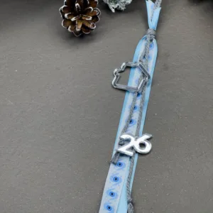 Minimal γούρι με ασημί στοιχεία